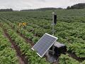 gamma Soil Moisture Sensor